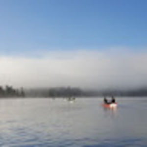 Meet your Posher, Jackson